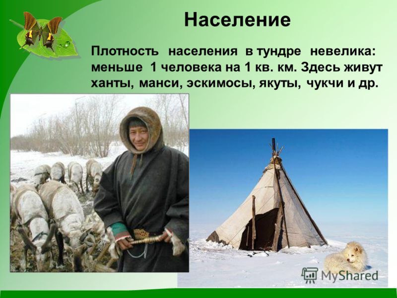 Какие народы проживают в зоне тайги. Ханты манси Эскимосы якуты чукчи. Занятия населения тундры. Население тундры. Народы проживающие в тундре.
