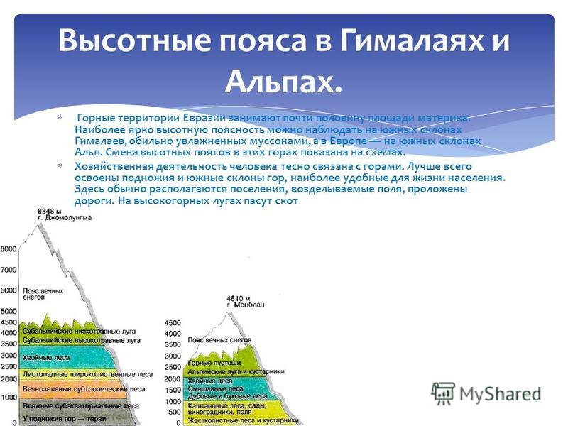 Схема высотных поясов в горах